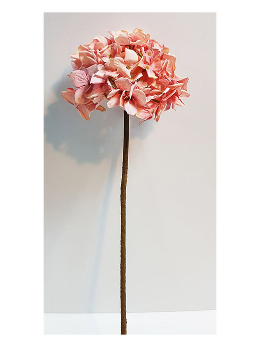 乾燥粉彩繡球花－上品行花藝生活館