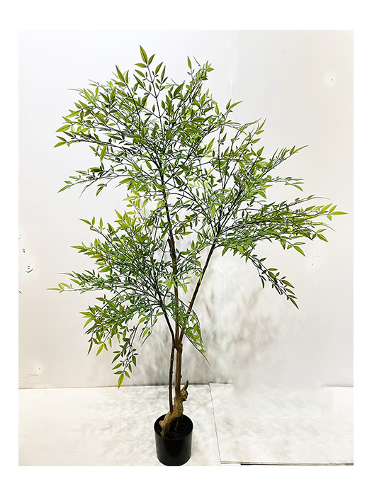 南天竹盆樹 160cm/180cm－上品行花藝生活館
