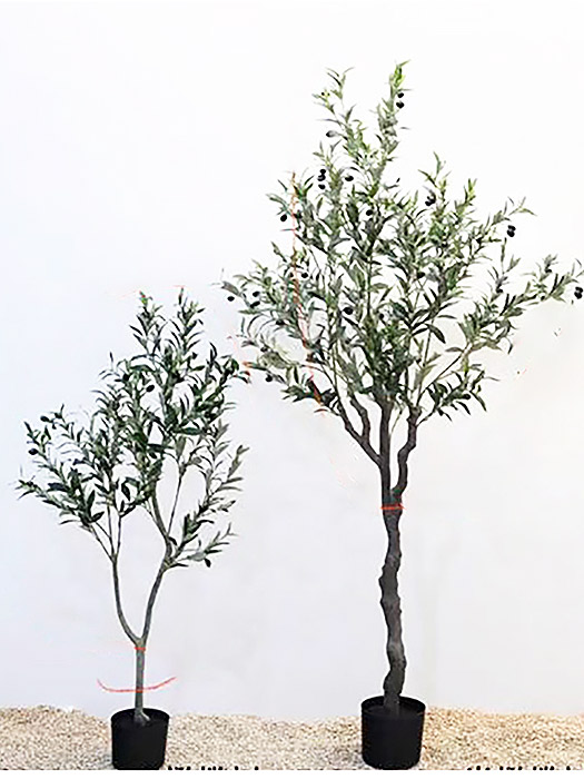 盛夏橄欖樹 1.2M/1.8M－上品行花藝生活館